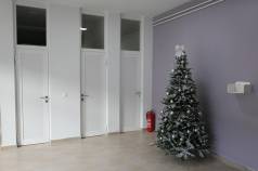 Mini IMG 5149